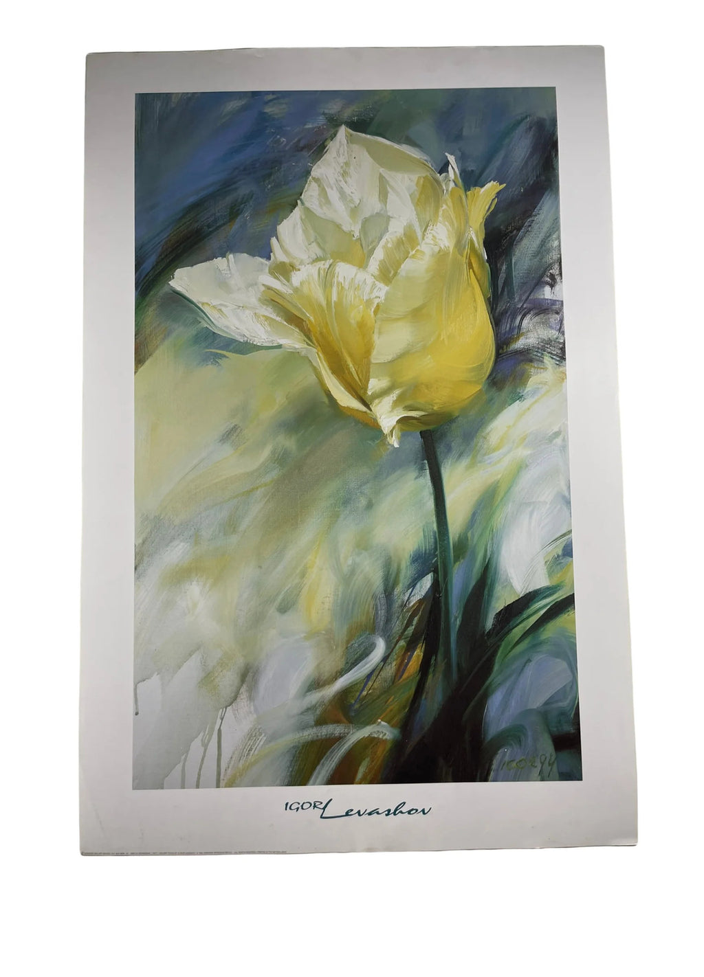White Tulip by Igor Levashov