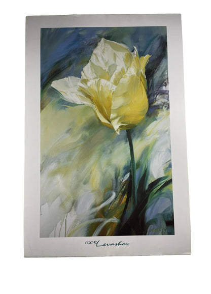 White Tulip by Igor Levashov