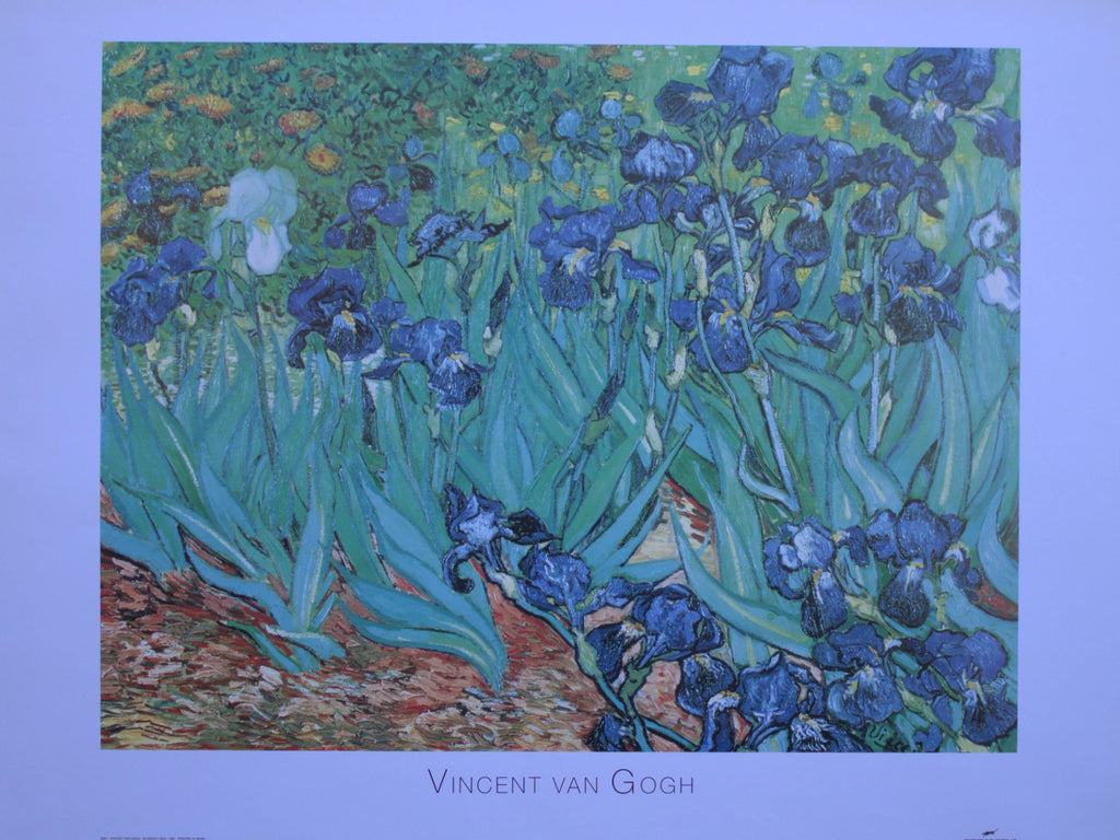 Vincent Van Gogh - Irises