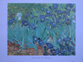 Vincent Van Gogh - Irises