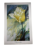 Igor Levashov - White Tulip