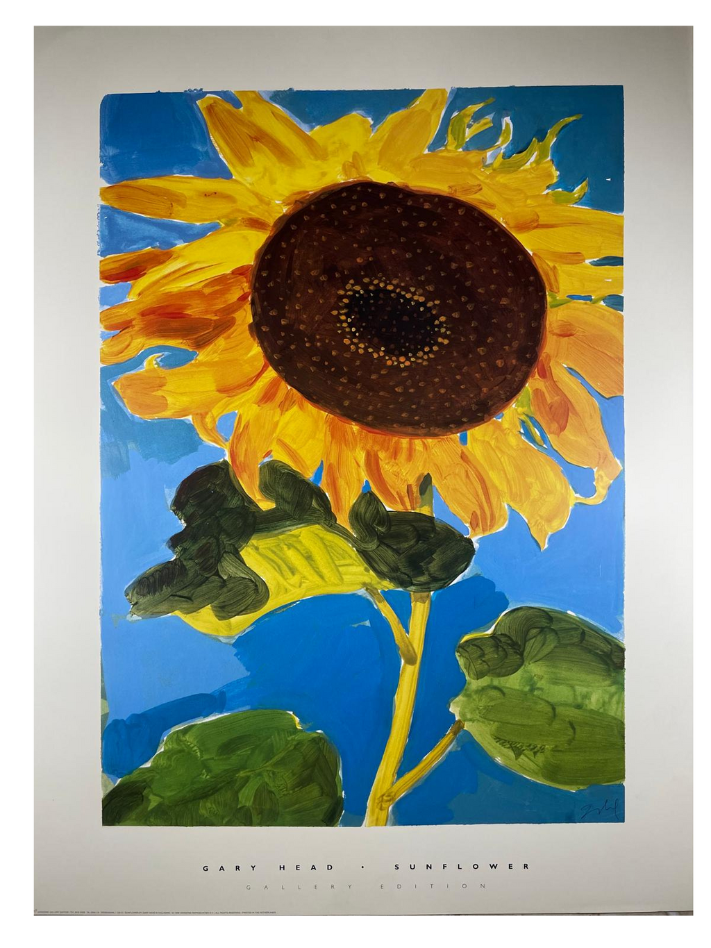 Gary Head - Sunflower (31 1/2 in x 23 1/2 in)