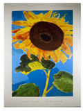 Gary Head - Sunflower (31 1/2 in x 23 1/2 in)