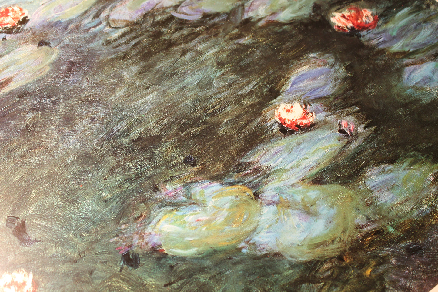 Claude Monet - Nymphéas (31.5 in x 23.5 in)