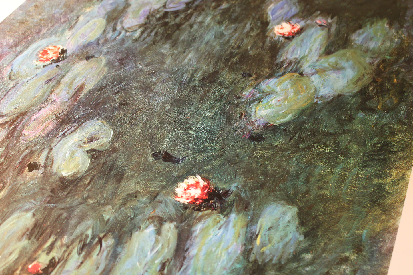 Claude Monet - Nymphéas (31.5 in x 23.5 in)