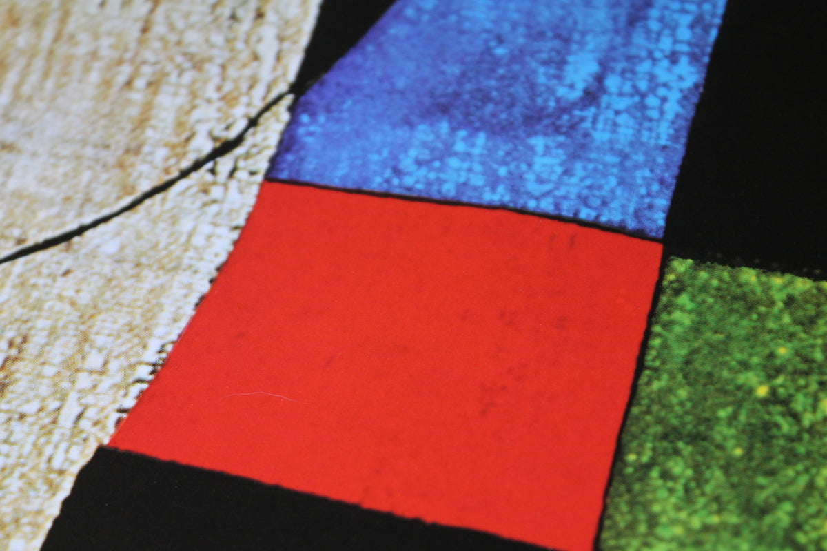 Joan Miro - Succession (31.5x 23.5 in)