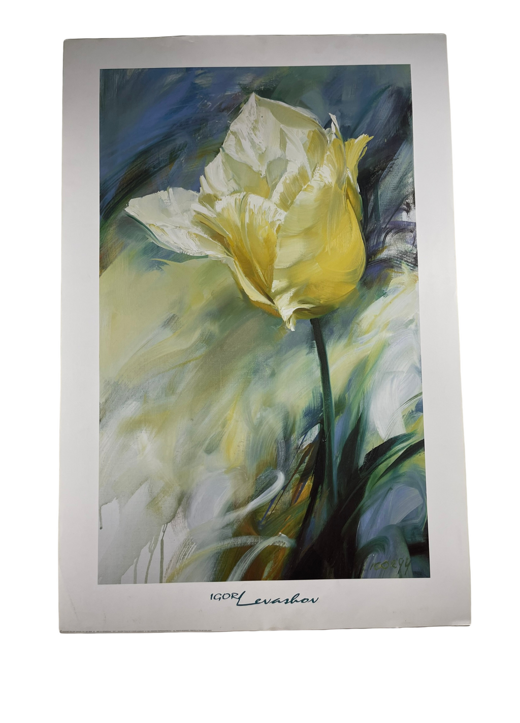 Igor Levshov - White Tulip (36 in x 24 1/4 in)