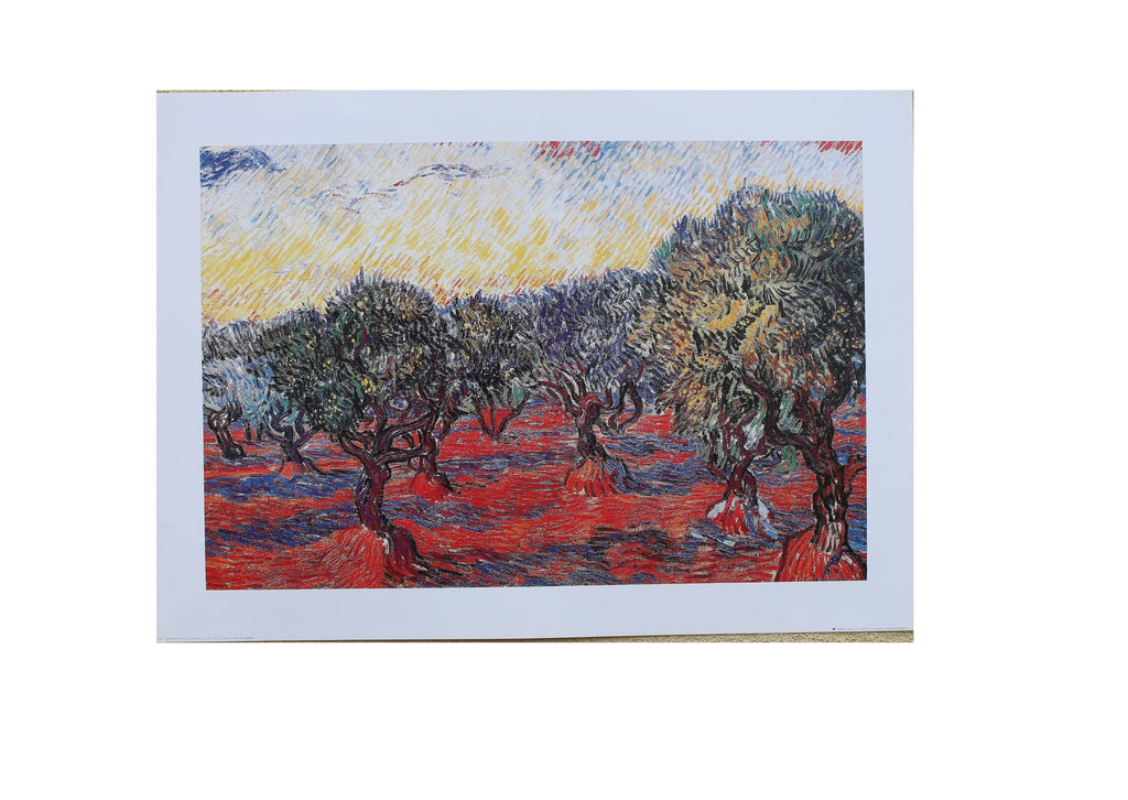 Van Gogh - L'uliveto (27.5 in x 19.5 in)