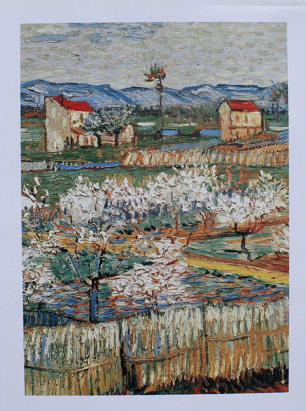 Vincent Van Gogh - Pechers en Fluer (23.5 in x 31.5 in)