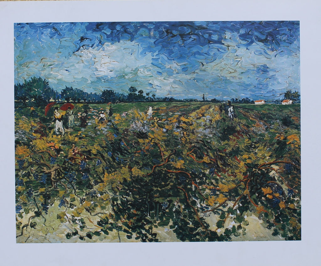 Vincent Van Gogh - The Green Vineyard (23.5 in x 19.5 in)