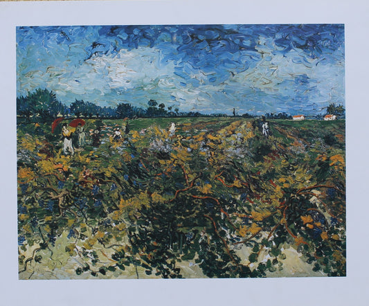 Vincent Van Gogh - The Green Vineyard (23.5 in x 19.5 in)