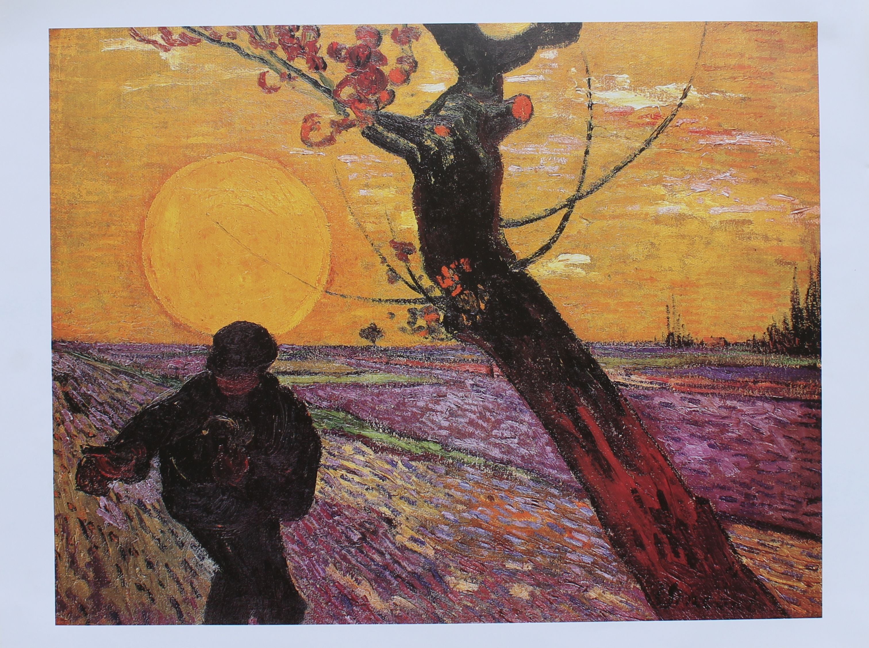 Vincent Van Gogh - The Sower (31.5 in x 23.5)