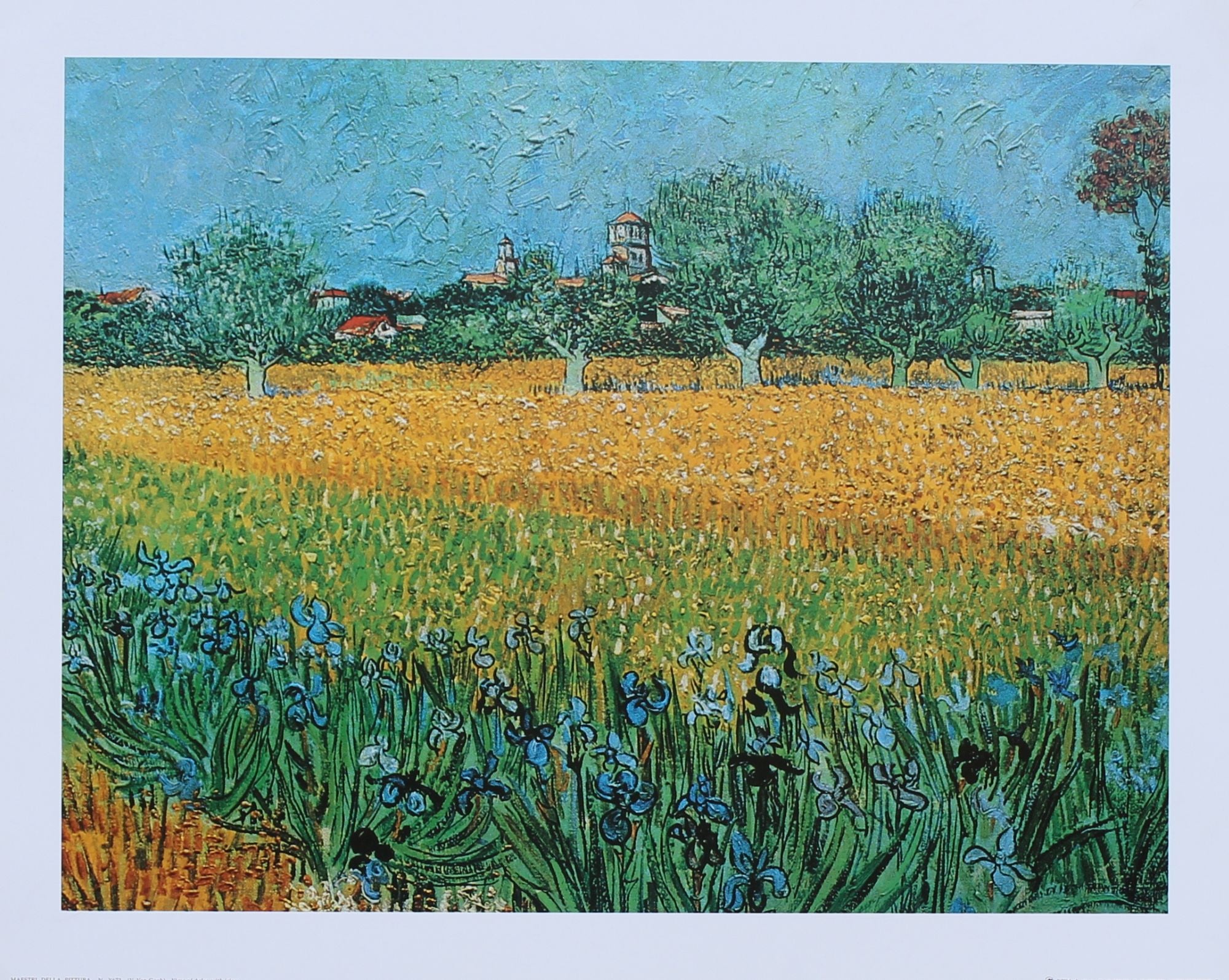 Field with Irises near Arles