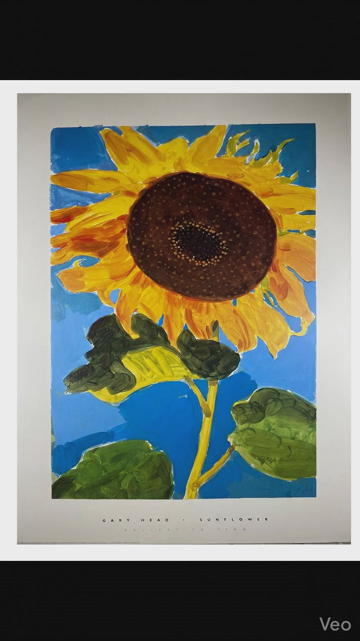 Gary Head - Sunflower (31 1/2 in x 23 1/2 in)